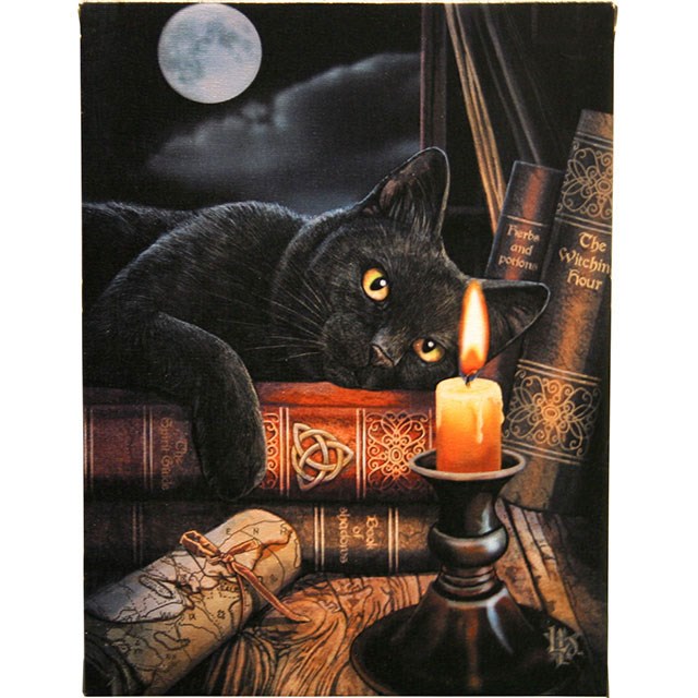 19x25cm Witching Hour Canvas Plaque By Lisa Parker