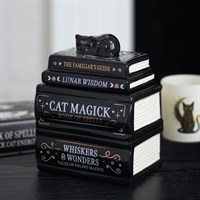 Black Cat Book Stack Oil Burner with Cat
