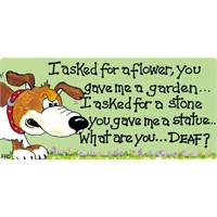 I Asked For A Flower