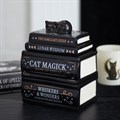 Black Cat Book Stack Oil Burner with Cat
