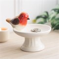 Robin Bird Bath Trinket Dish