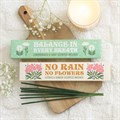 Set of 2 No Rain, No Flowers Incense Stick Packs